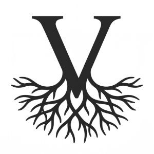 VagusHQ-Logo